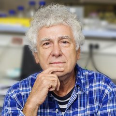 Dr Radman
