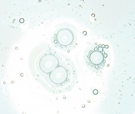 Producto bioderma laboratorio dermatologico Producto bioderma laboratorio dermatologico
